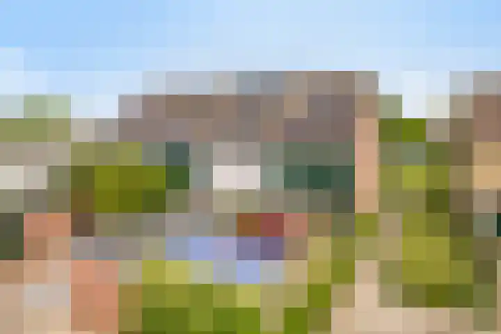 Penningkruid 41 Kampen thumbnail 6