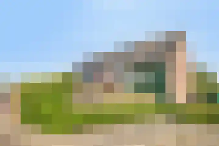 Penningkruid 41 Kampen thumbnail 7
