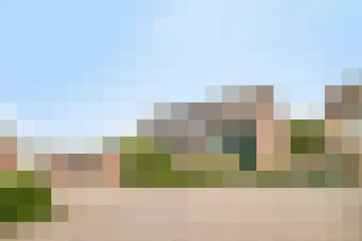 Penningkruid 41 Kampen thumbnail 8