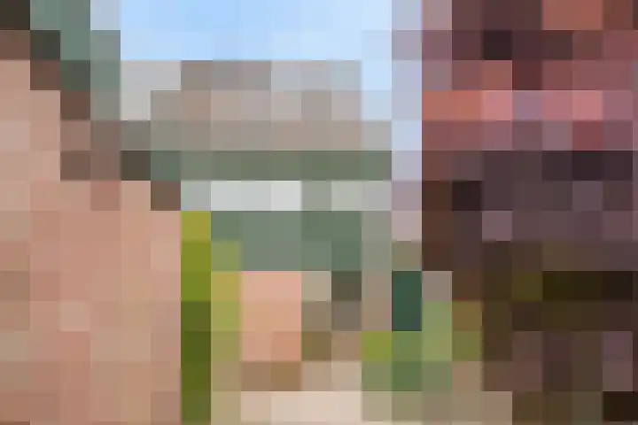Penningkruid 41 Kampen thumbnail 9