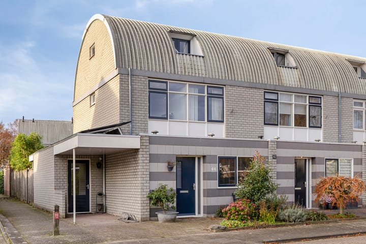 Penningkruid 44 in Asten foto