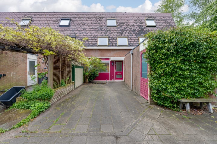 Penningkruid 54 in Purmerend foto