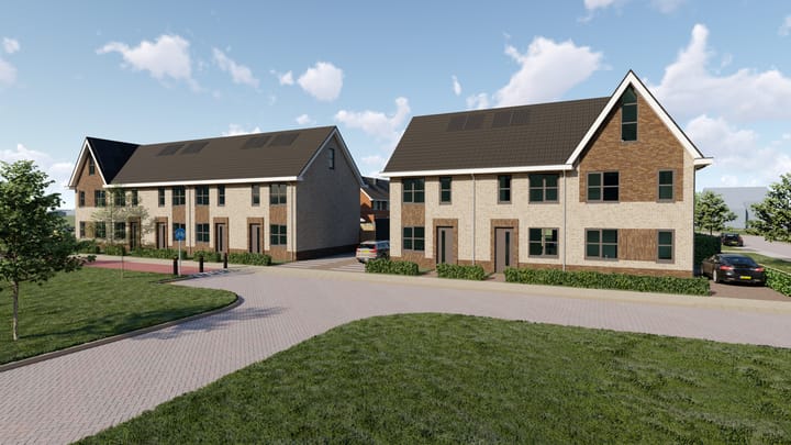 Penningkruid 8 in Vroomshoop foto