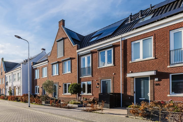 Penningkruid 86 in Bodegraven foto