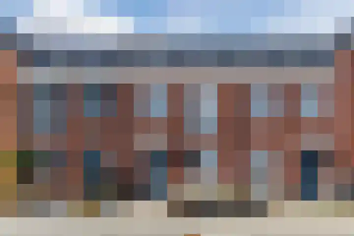 Penningkruid 88 Bodegraven