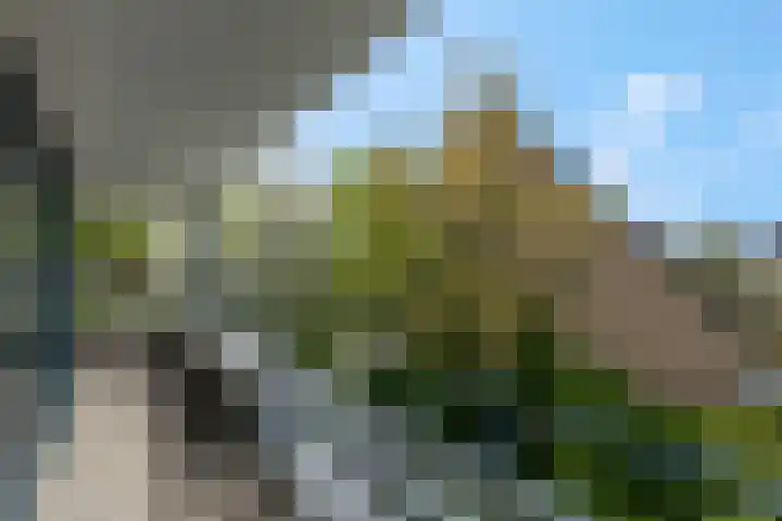 Pennstate 33 Ede thumbnail 15