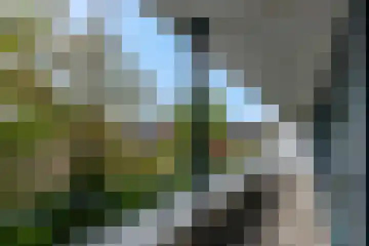 Pennstate 33 Ede thumbnail 16