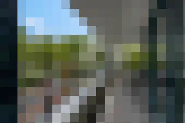 Pennstate 33 Ede thumbnail 17