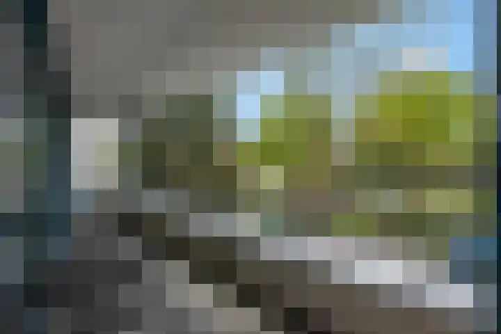 Pennstate 33 Ede thumbnail 18