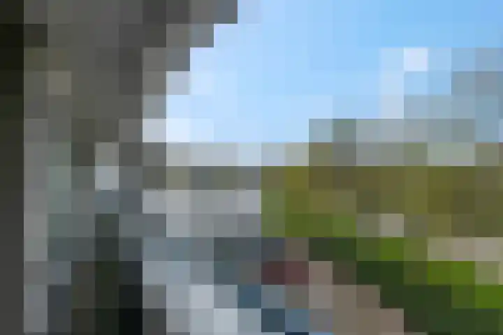 Pennstate 33 Ede thumbnail 25