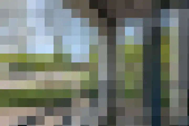 Pennstate 33 Ede thumbnail 26