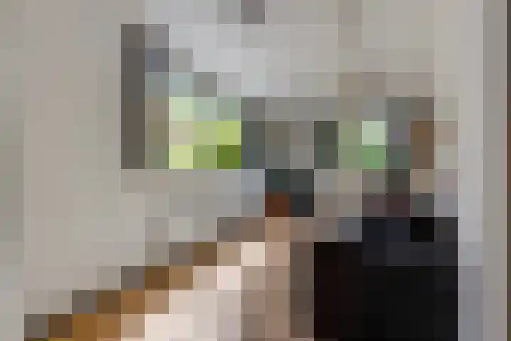 Pennstate 33 Ede thumbnail 4