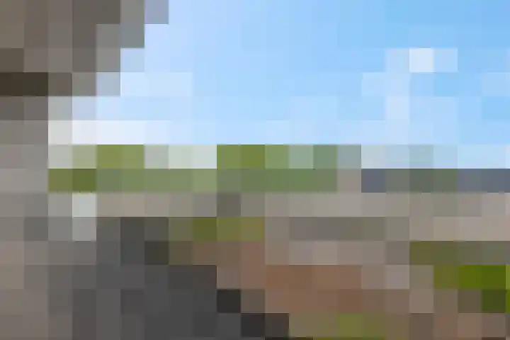 Pennstate 33 Ede thumbnail 43