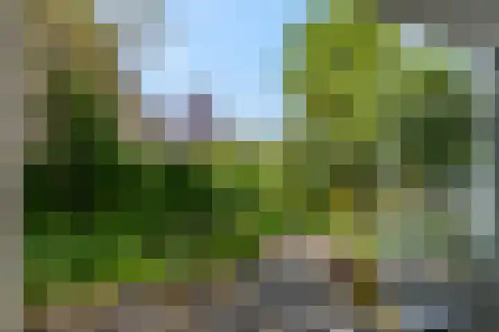 Pennstate 33 Ede thumbnail 48