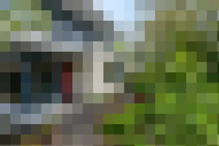 Pennstate 33 Ede thumbnail 49