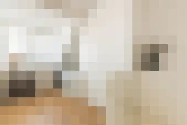 Pensionaris 6 Brielle thumbnail 30