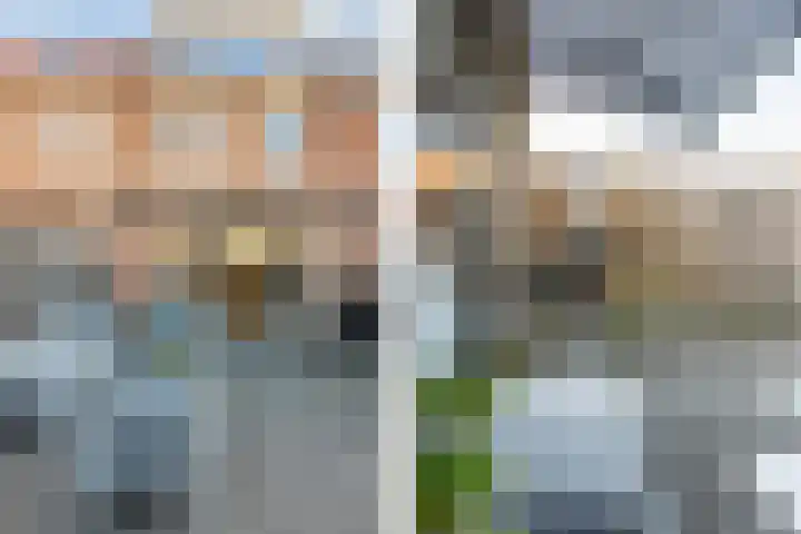 Pensionaris 6 Brielle thumbnail 36