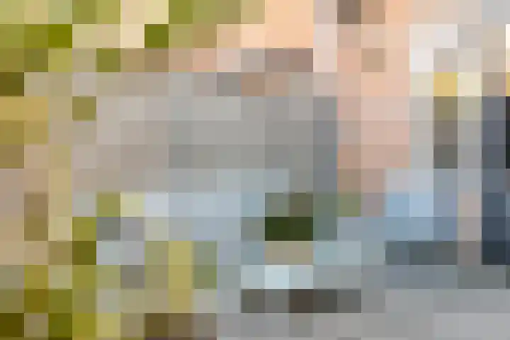 Pensionaris 6 Brielle thumbnail 38