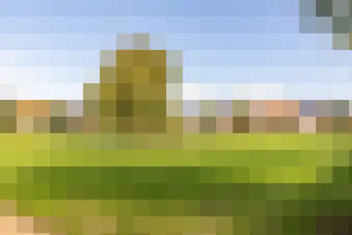 Pensionaris 6 Brielle thumbnail 44