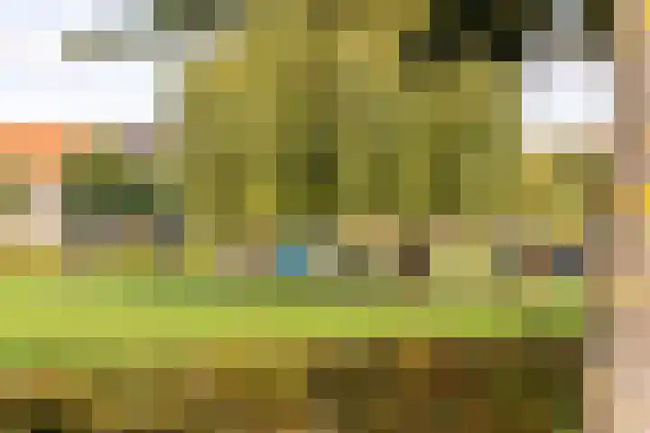 Pensionaris 6 Brielle thumbnail 45