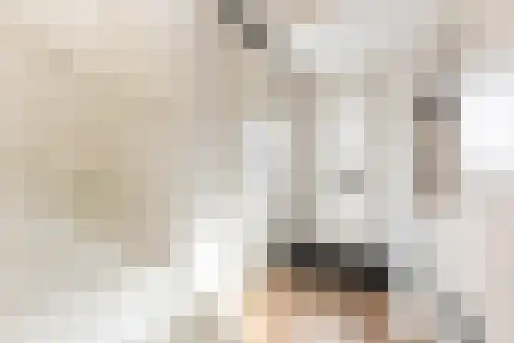 Pensionaris 6 Brielle thumbnail 8