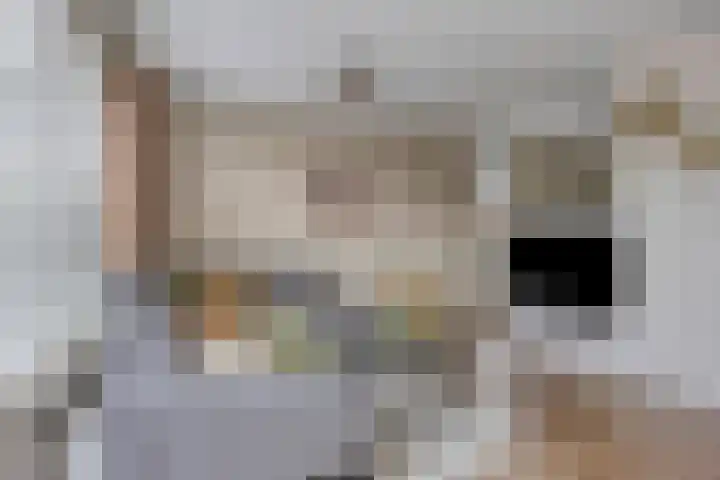 Peperbus 22 Gemert thumbnail 10
