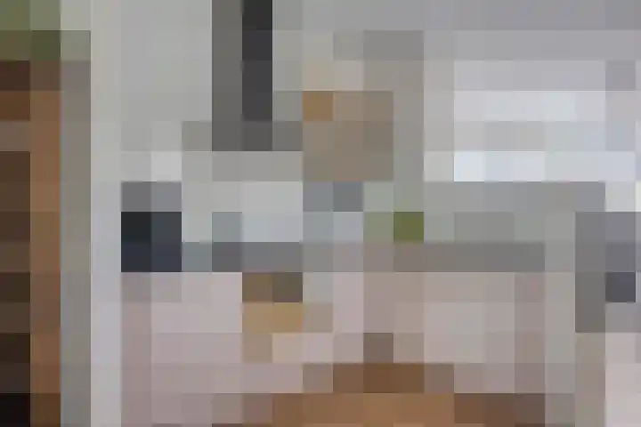 Peperbus 22 Gemert thumbnail 14