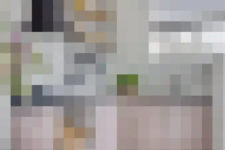 Peperbus 22 Gemert thumbnail 17