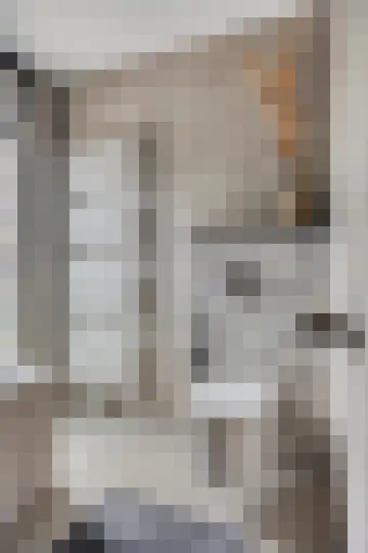 Peperbus 22 Gemert thumbnail 23