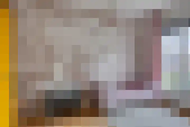 Peperbus 22 Gemert thumbnail 29