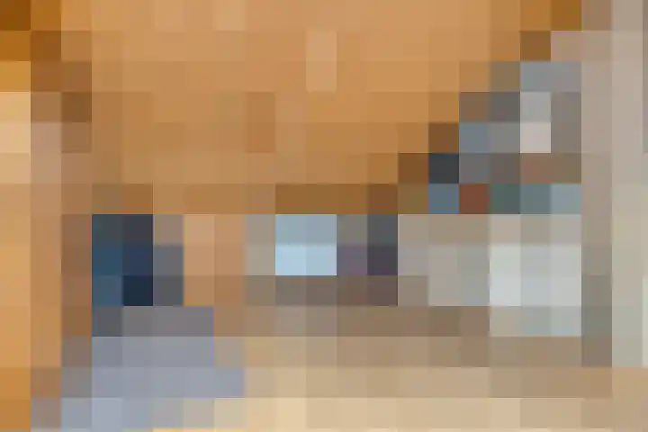 Peperbus 22 Gemert thumbnail 31