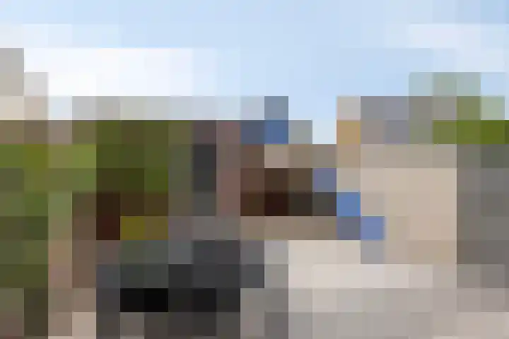 Peperbus 22 Gemert thumbnail 32