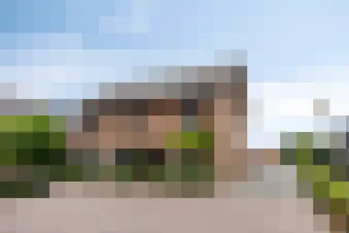 Peperbus 22 Gemert thumbnail 6