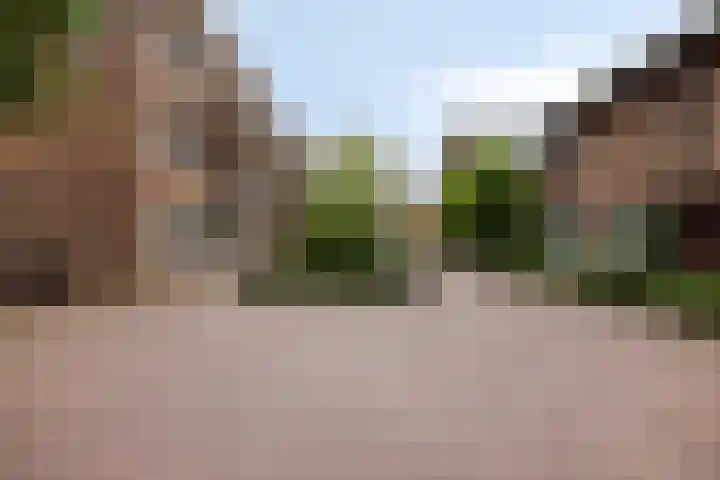 Peperbus 22 Gemert thumbnail 7