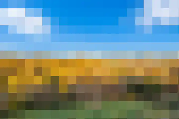 Peperkers 29 IJmuiden thumbnail 13