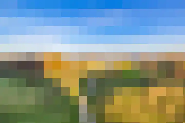 Peperkers 29 IJmuiden thumbnail 14