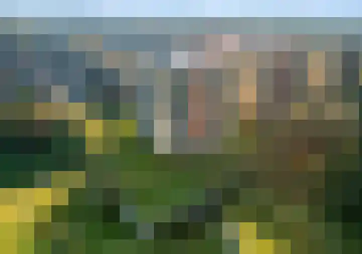 Peperkers 29 IJmuiden thumbnail 35