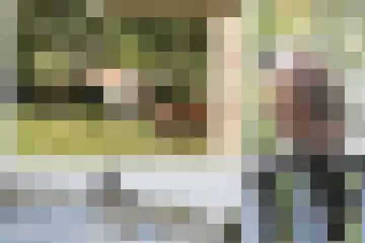 Peperkers 29 IJmuiden thumbnail 38
