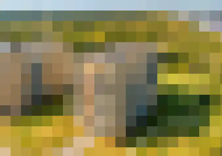 Peperkers 29 IJmuiden thumbnail 41