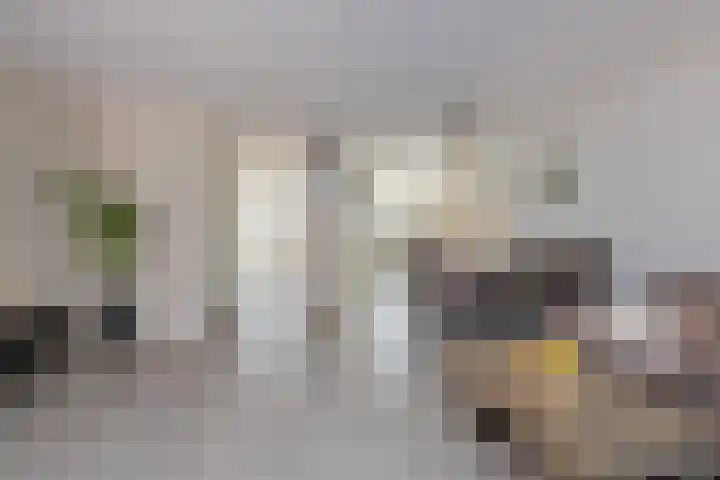 Peperkers 34 IJmuiden thumbnail 11