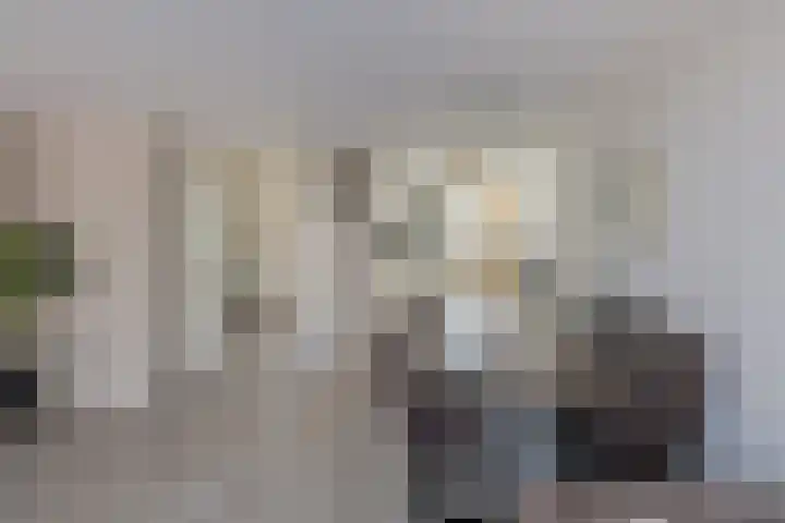 Peperkers 34 IJmuiden thumbnail 13