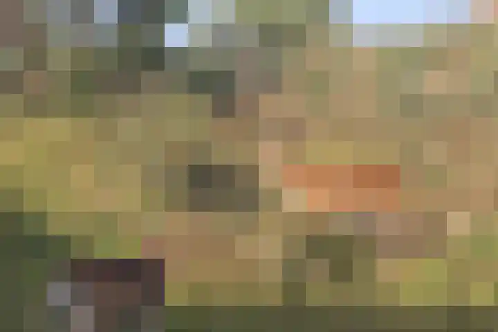 Peperkers 34 IJmuiden thumbnail 22
