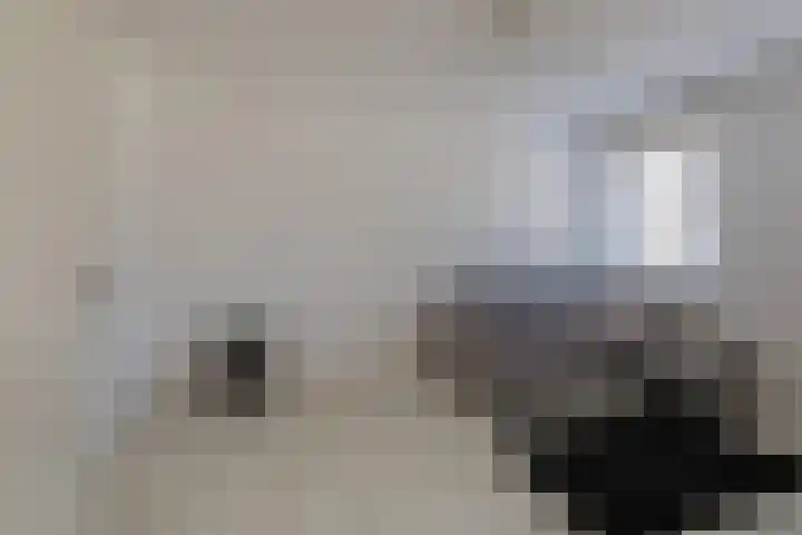 Peperkers 34 IJmuiden thumbnail 29