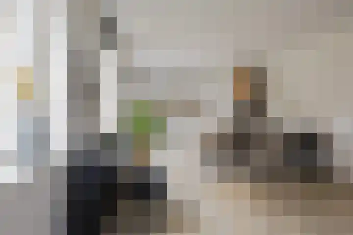 Peperkers 5 IJmuiden thumbnail 10
