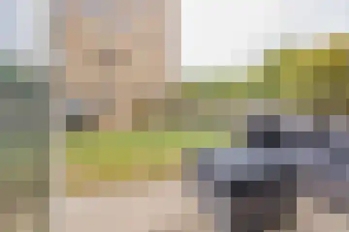 Peperkers 5 IJmuiden thumbnail 16