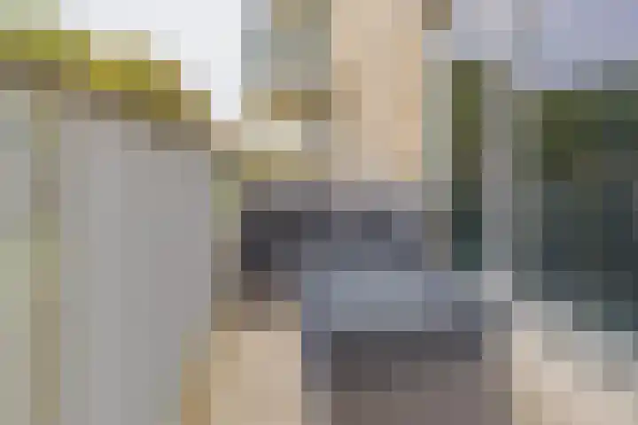 Peperkers 5 IJmuiden thumbnail 17