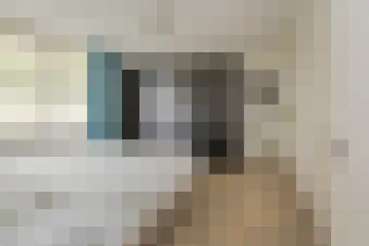 Peperkers 5 IJmuiden thumbnail 22