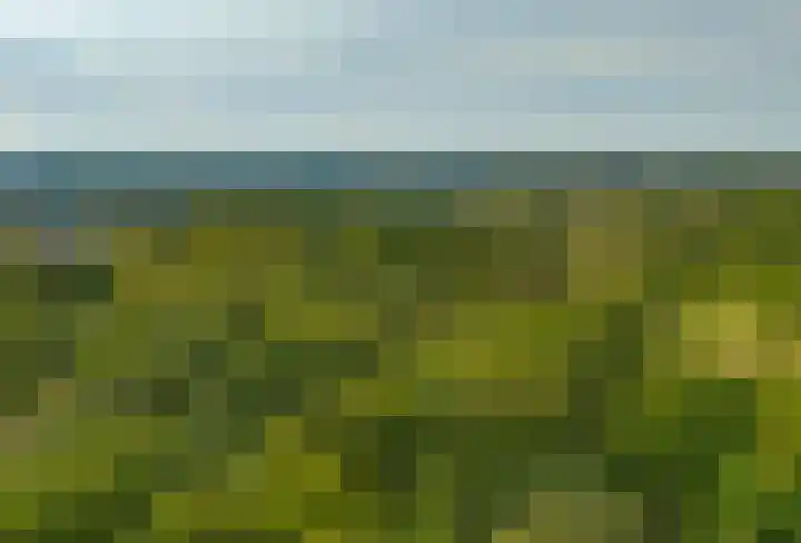 Peperkers 5 IJmuiden thumbnail 38