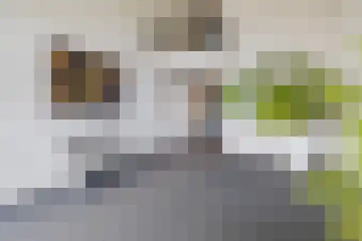 Peperkers 5 IJmuiden thumbnail 5