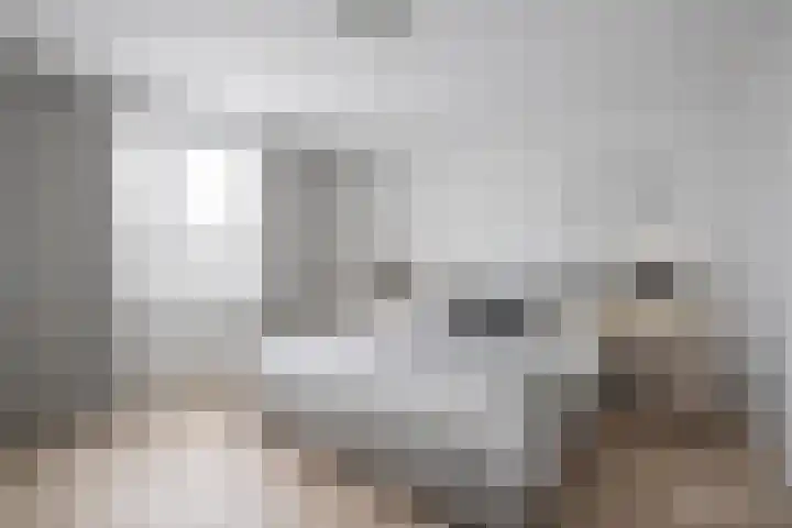 Peperstraat 10 Grevenbicht thumbnail 10